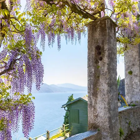 Villa Antica Branca By Maggiore *
